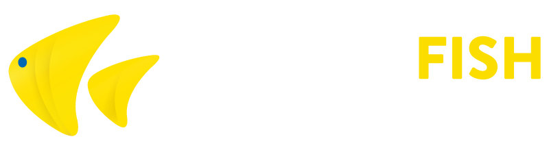 yellowfish faro airport private transfers best value for money